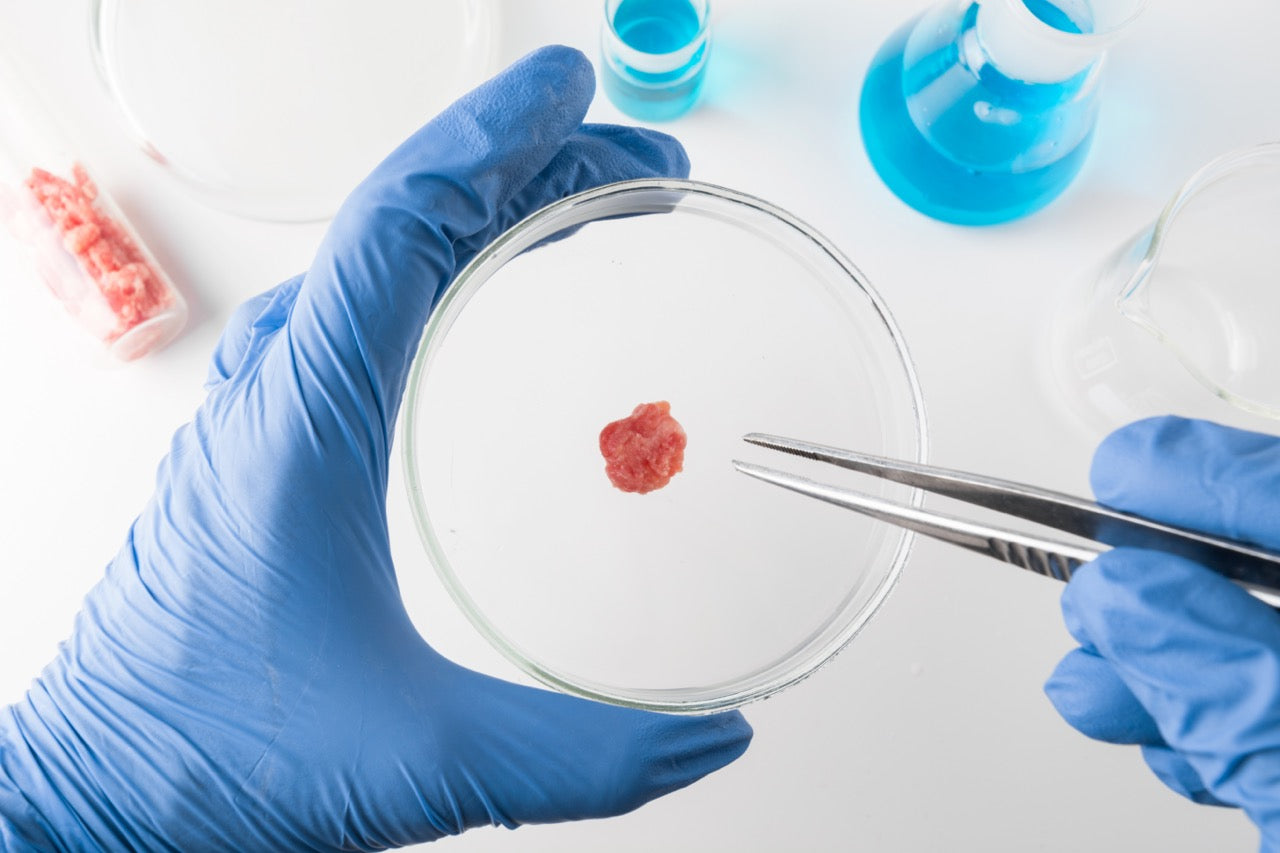 What is the best type of media to use for your cell line?