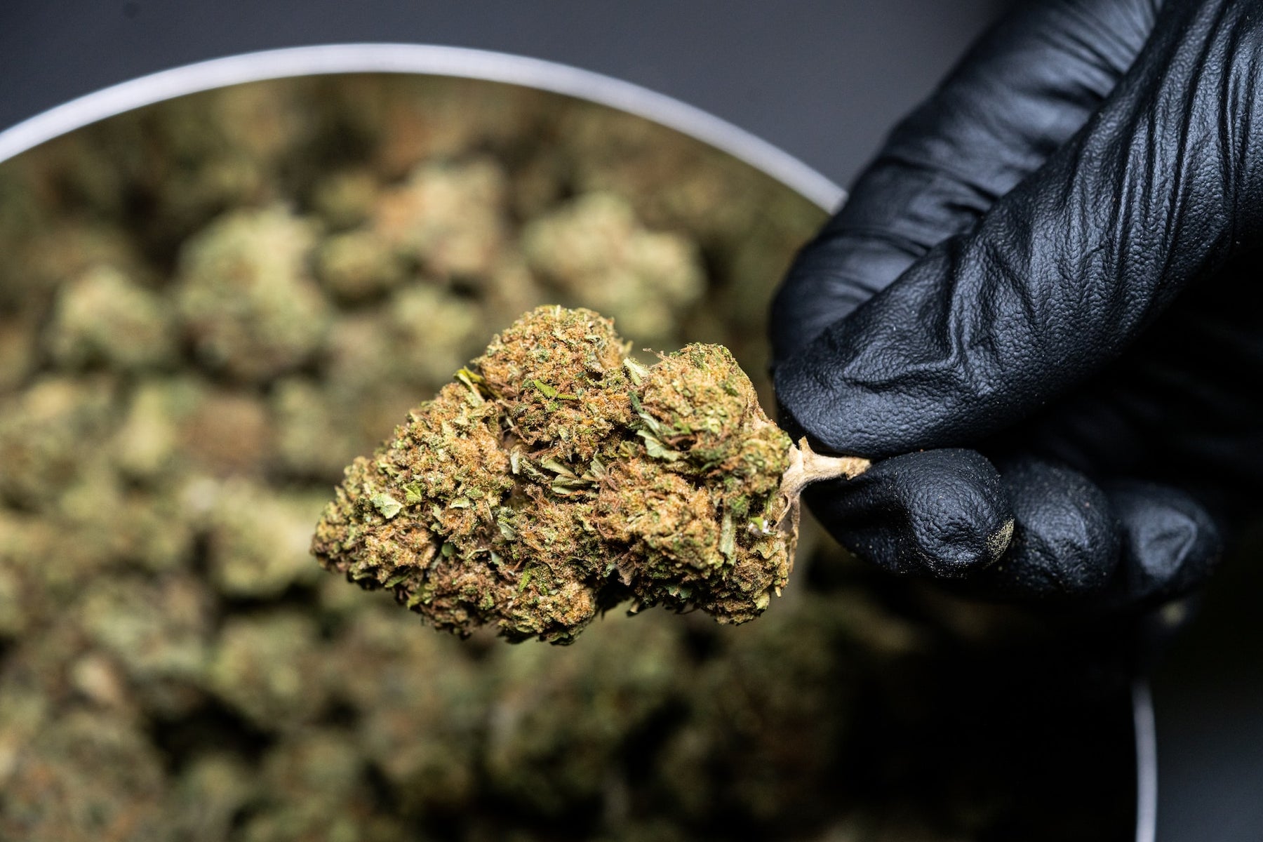 Cannabis Testing Guide: Sample Preparation and Analytical Method for Potency ๐ฟ