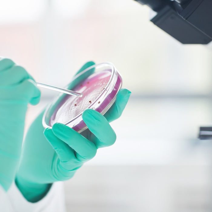 10 Tips for Maintaining Healthy Cell Cultures