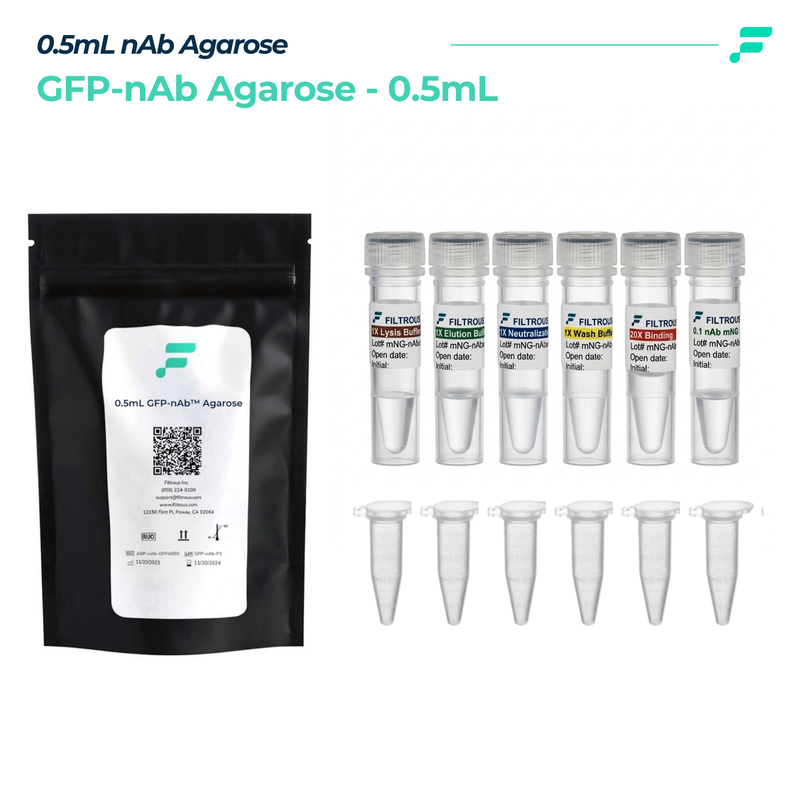 Magnetic Agarose Nanobody, GFP, Co-Immunoprecipitation, 0.5mL, 1/unit