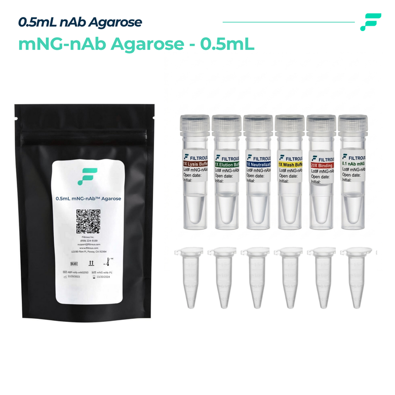 Magnetic Agarose Nanobody, mNG, Co-Immunoprecipitation, 0.5mL, 1/unit