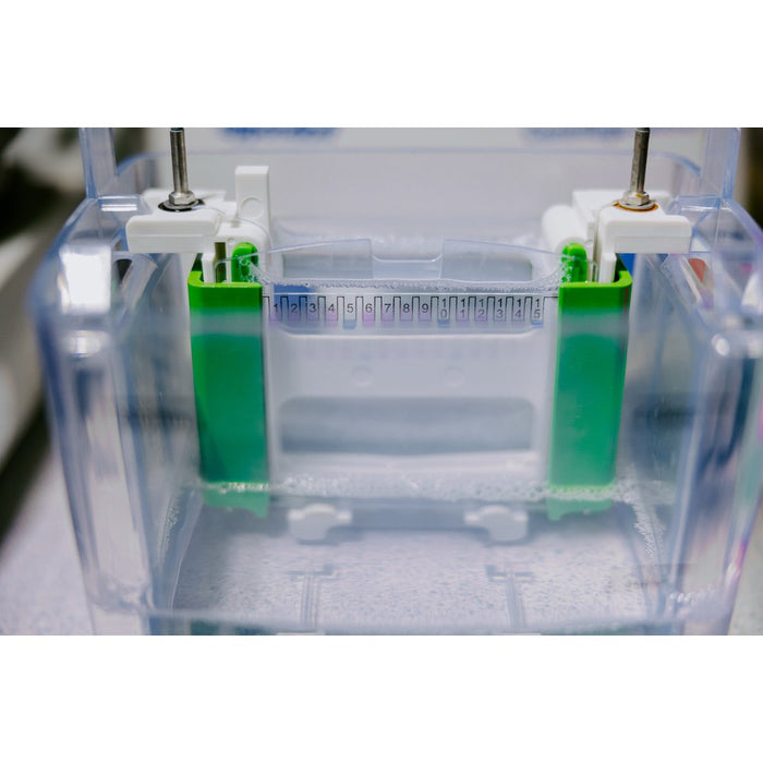 0.5mL mTFP-nAb™ Agarose