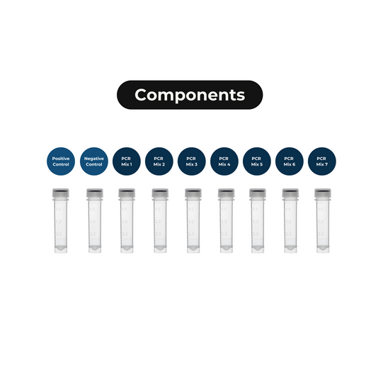 ampPCR Urinary Tract Infection qPCR Detection Panel, 100 Reactions/unit