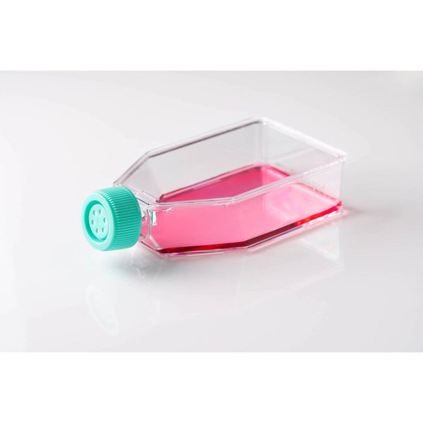 Cell Culture Flask, T25, Vented, Treated, Sterile, 200/unit