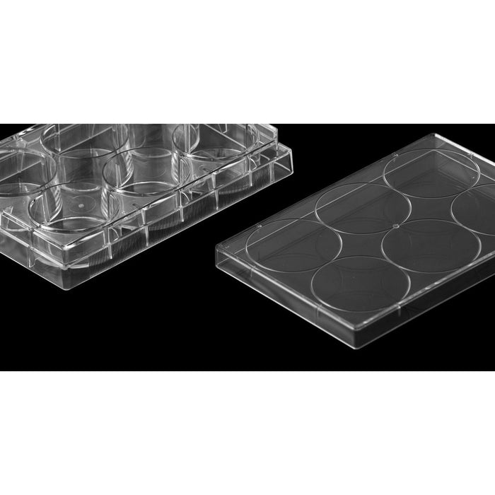 6-Well Treated Cell Culture Plates, Sterile, 100/unit - Filtrous