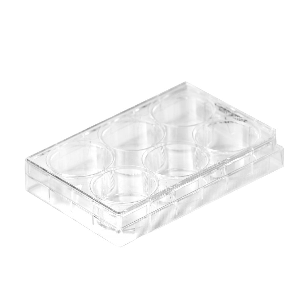 6-Well Treated Cell Culture Plates, Sterile, 100/unit - Filtrous