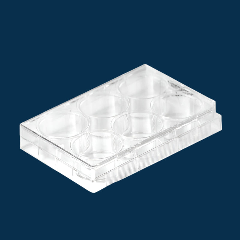 6-Well Treated Cell Culture Plates, Sterile, 100/unit - Filtrous
