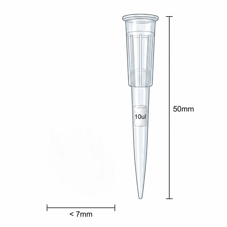 Stiliger ornatus drawn to scale beside a Filtrous part